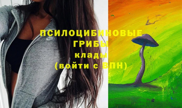 амф Алексеевка