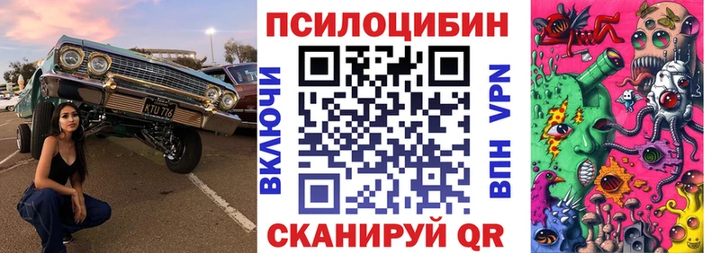 Галлюциногенные грибы Psilocybine cubensis  Мещовск 