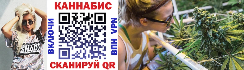 дарк нет формула  Мещовск  Шишки марихуана THC 21% 